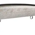 SILVER BLACK