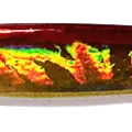 RED GOLD BLUE GLOW BELLY GLITTER