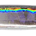 GLOWING HEAD BLUE GLOW BELLY GLITTER