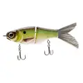 GRAND SHAD