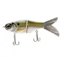 PLATNUM SHAD