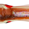 BROWN/CLEAR PINK