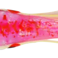 PINK/CLEAR