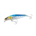 N Sardine