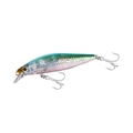 N Anchovy