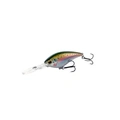 Rainbow Trout