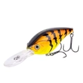Orange Tiger