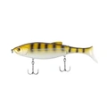 Zander
