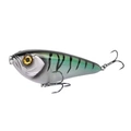 Mackerel
