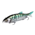 Mackerel