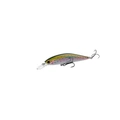 Rainbow Trout