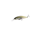 Brook Trout
