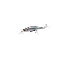 Sea Trout