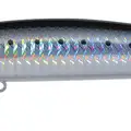 LASER SARDINE