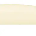 BONE