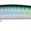 GREEN MACKEREL