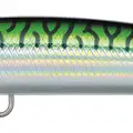 GREEN MACKEREL