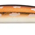 CANNIBAL CALICO