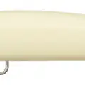 BONE