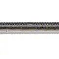 ELECTRIC WORM (973)