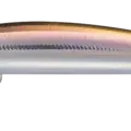 WAKASAGI