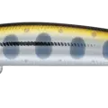 YAMAME TROUT