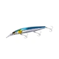 N Sardine