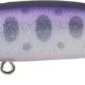 P-502