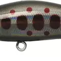 H-163