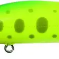 P-501