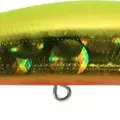 RD-288