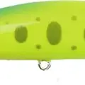 P-501