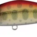 Mo-001