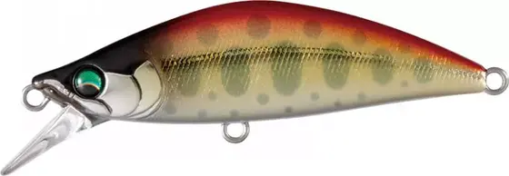 Bassday Mononofu