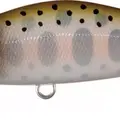 Mo-004