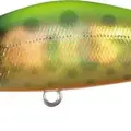 Mo-007