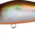 Mo-008