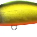 Mo-021