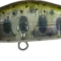 Mo-029