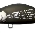 Mo-025