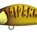 Mo-026