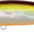 Mo-008