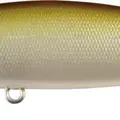 Mo-015
