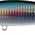 Mo-019