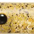 L-053
