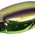 360
