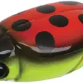320