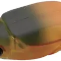 348