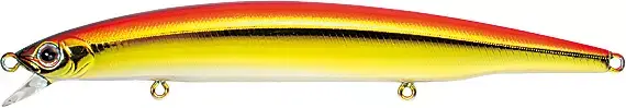 Bassday Logsurf
