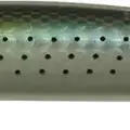 LH-244